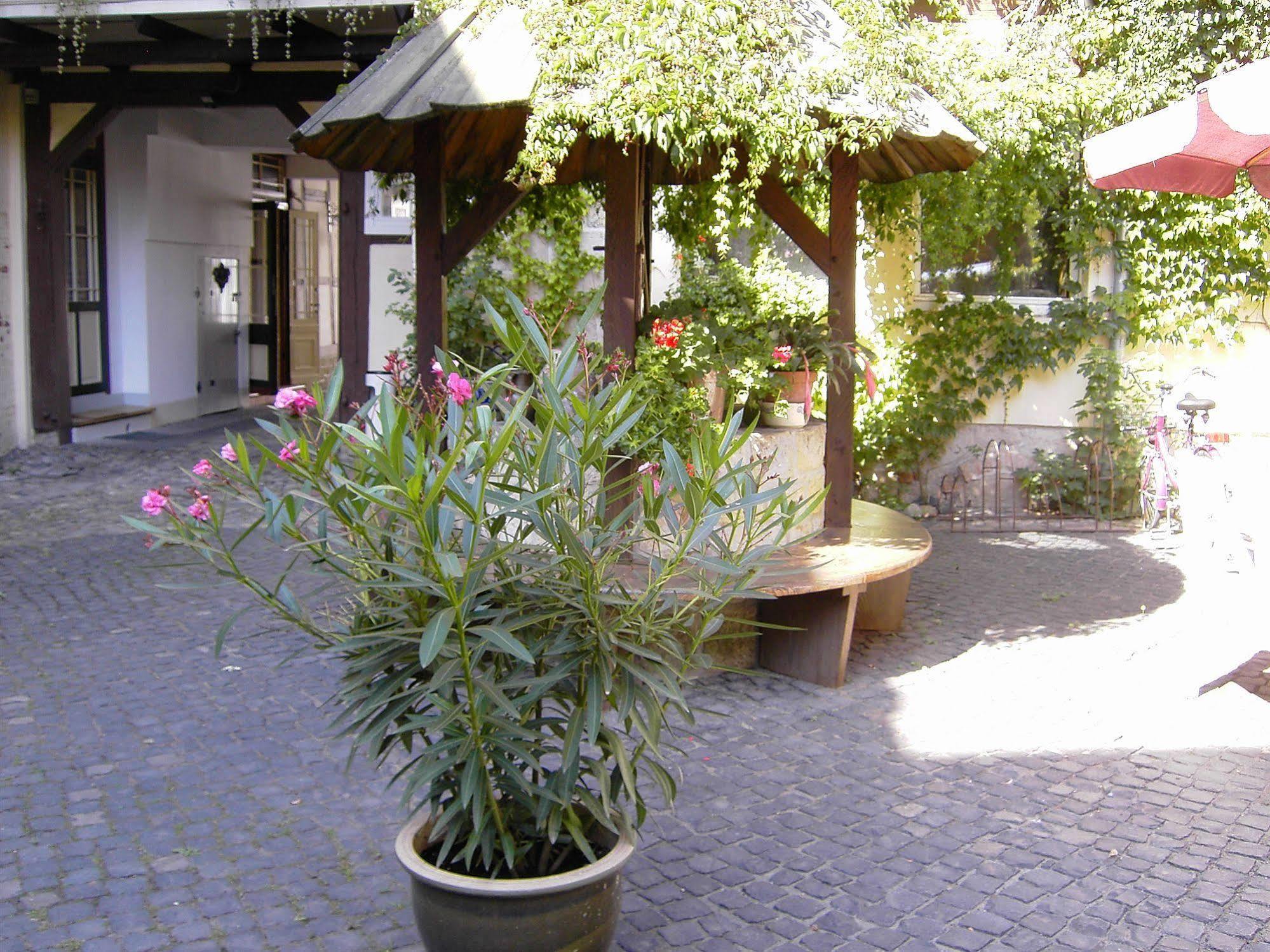 Adelheid Garni Quedlinburg